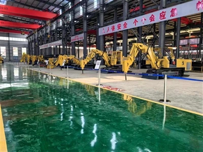Mining Electric Excavator - Factory Observation